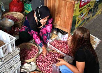 Pasokan Bawang Cukup untuk Kebutuhan Idul Fitri